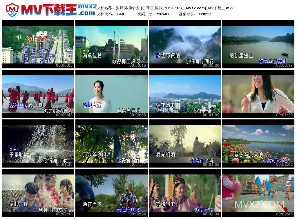 张师羽-珍惜当下_国语_流行_MB203187